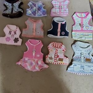 Small dog clothes and harnesses